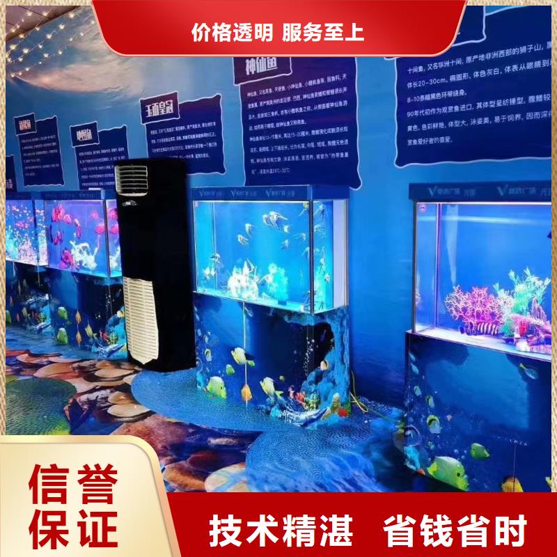 海洋主题动物表演表演羊驼租赁一对一服务