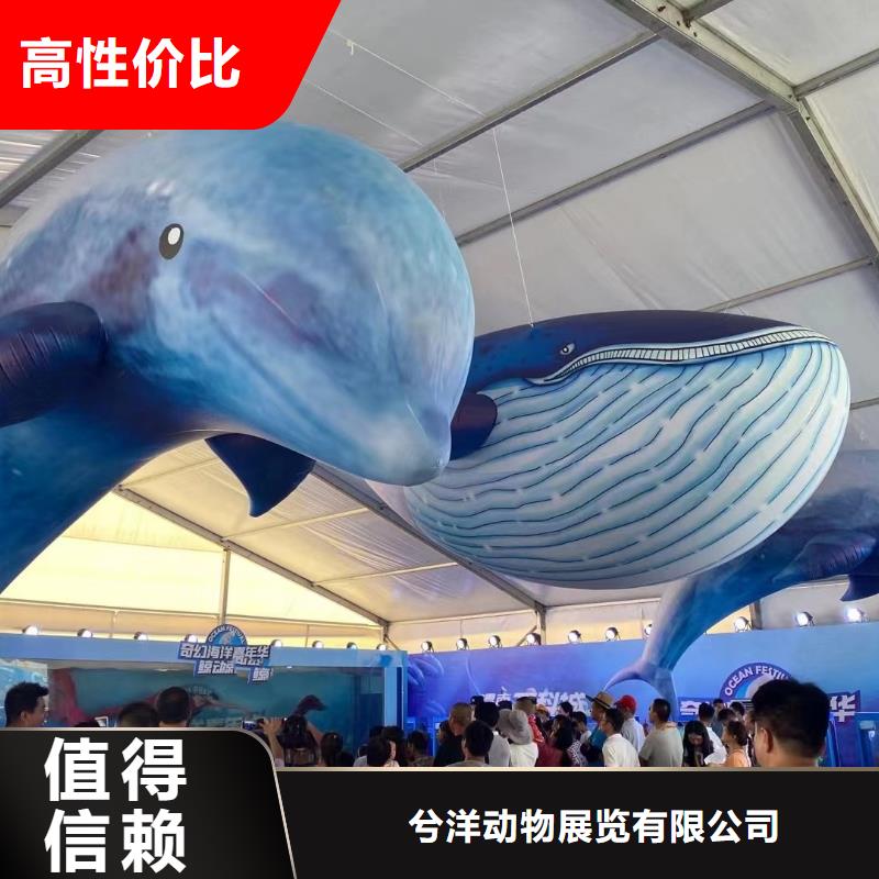 海洋主题动物表演动物表演专业