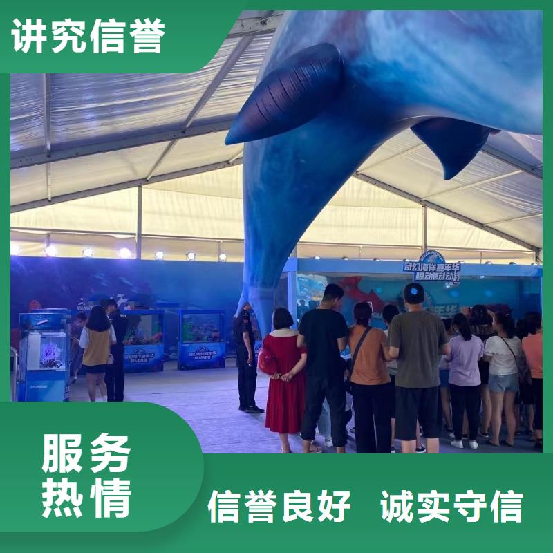 海洋主题动物表演【企鹅表演出租】服务周到