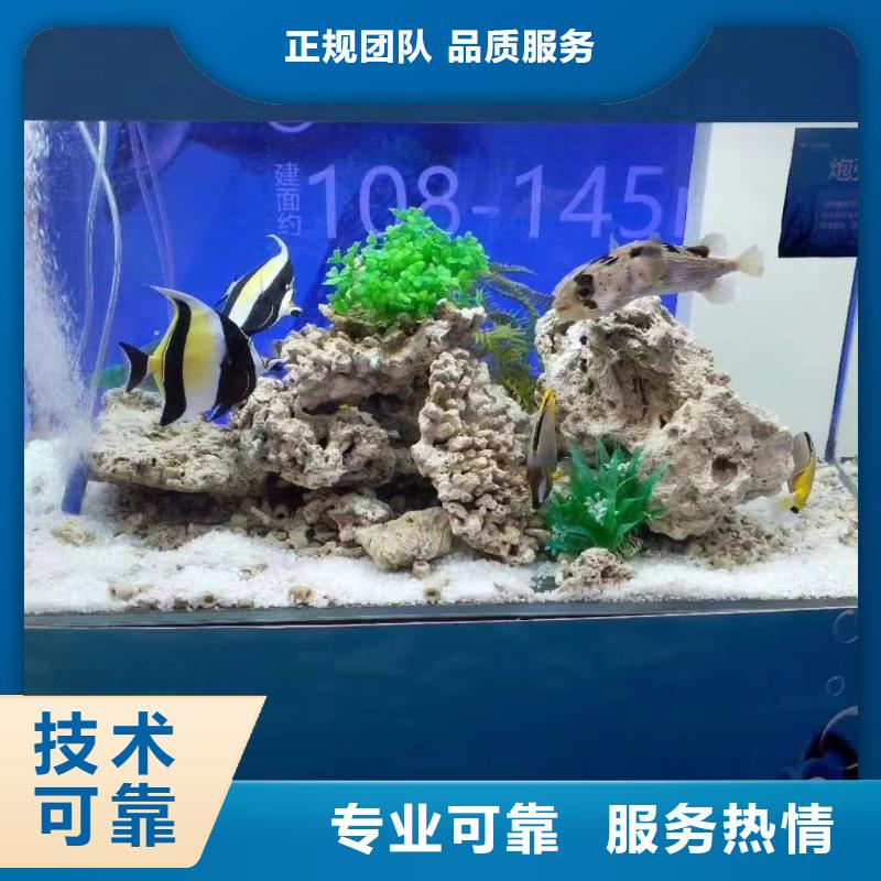 海洋主题动物表演【海狮杂技表演】免费咨询