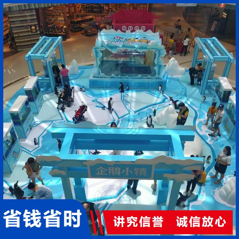 海洋主题动物表演_海狮表演出租资质齐全