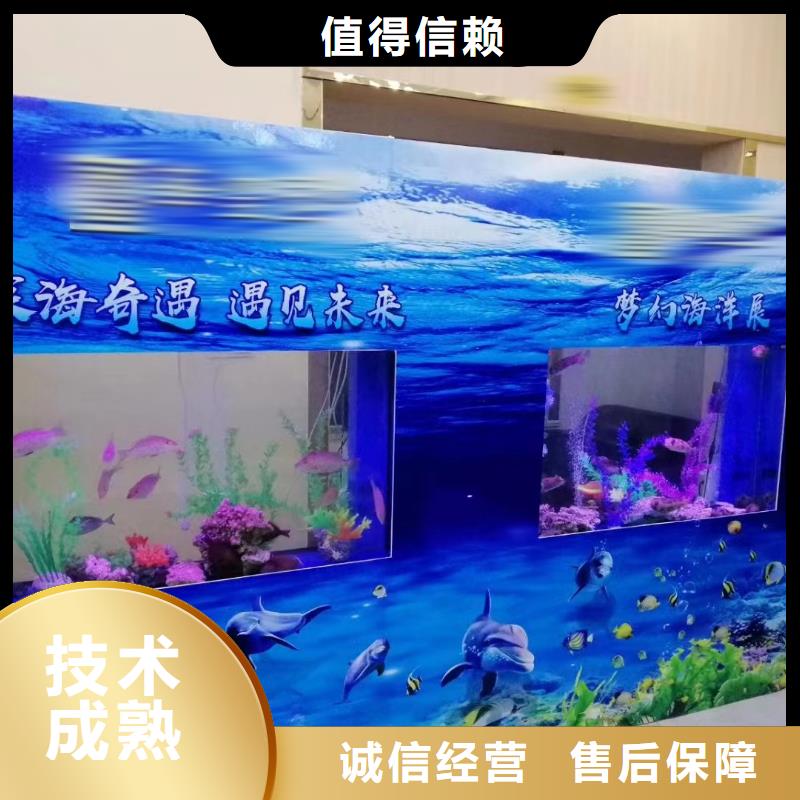 海洋主题动物表演海狮表演出租解决方案