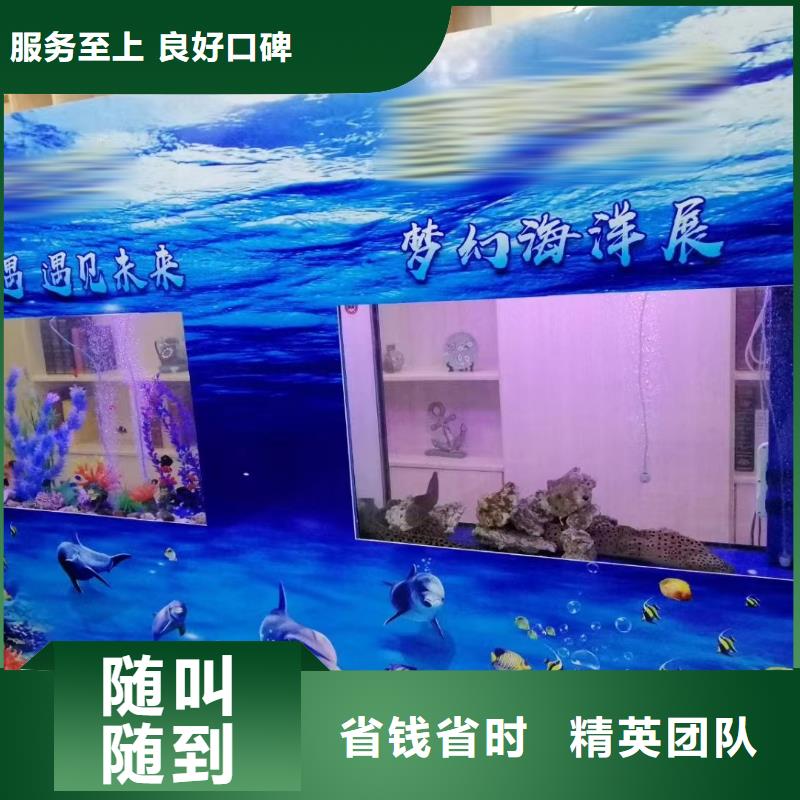 海洋主题动物表演马戏团表演解决方案