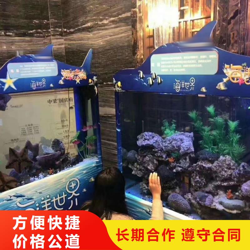 【海洋主题动物表演】海洋展租赁专业可靠