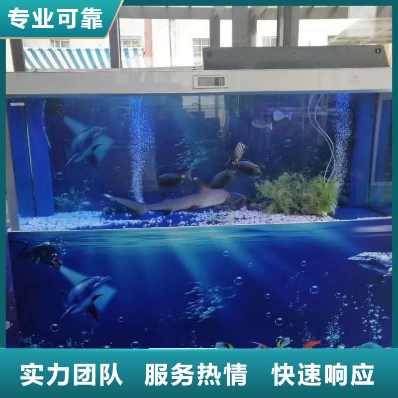 海洋主题动物表演美人鱼表演好评度高