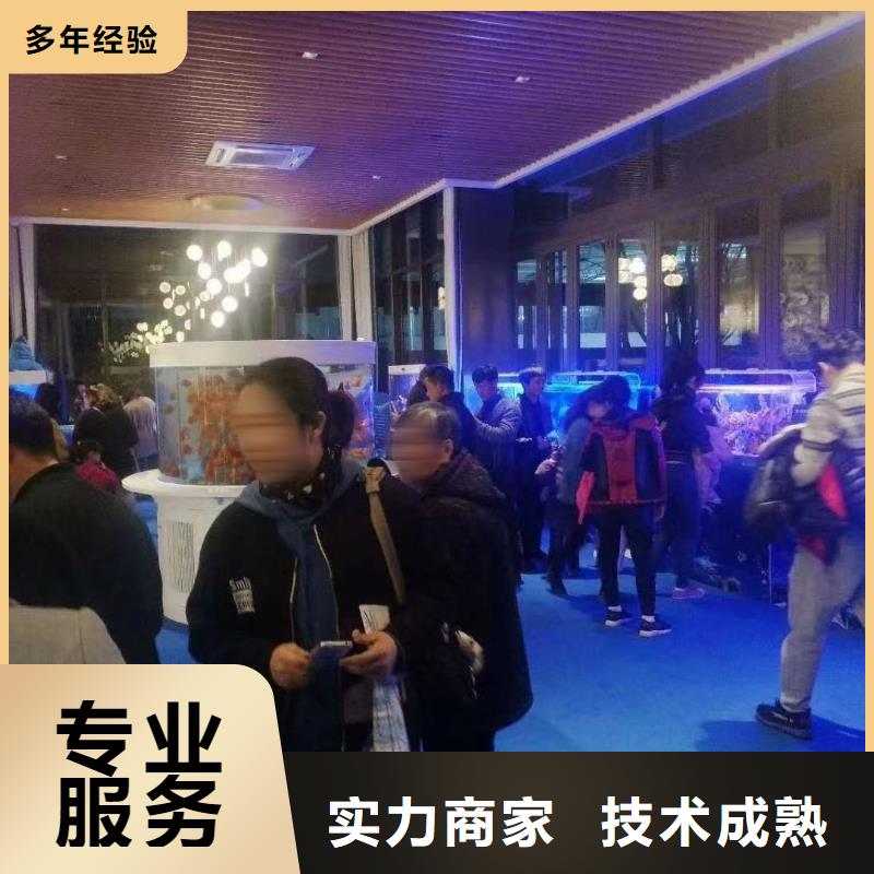 海洋主题动物表演 小马戏出租精英团队