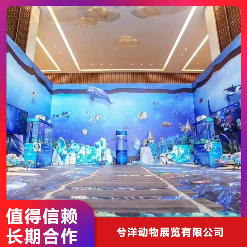 海洋主题动物表演【【海狮租赁表演】】快捷