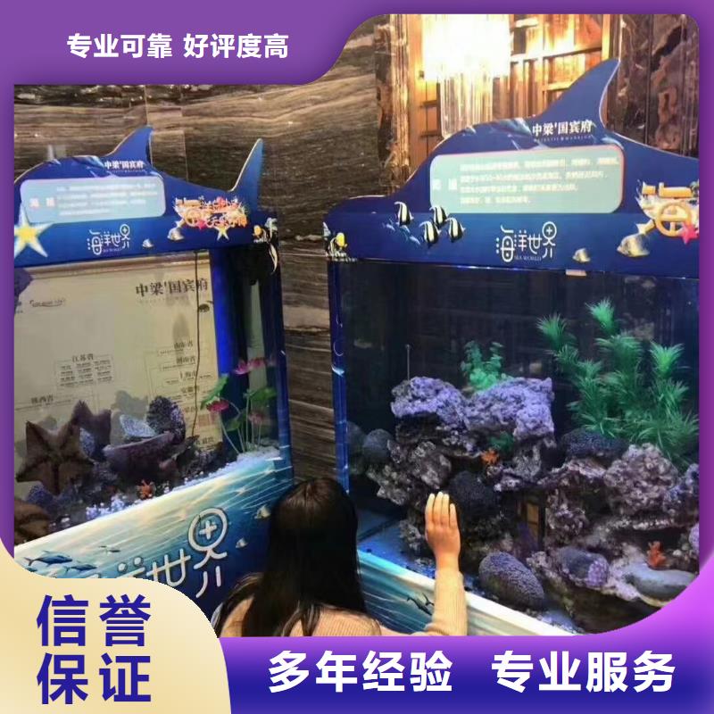海洋主题动物表演-【企鹅表演】售后保障