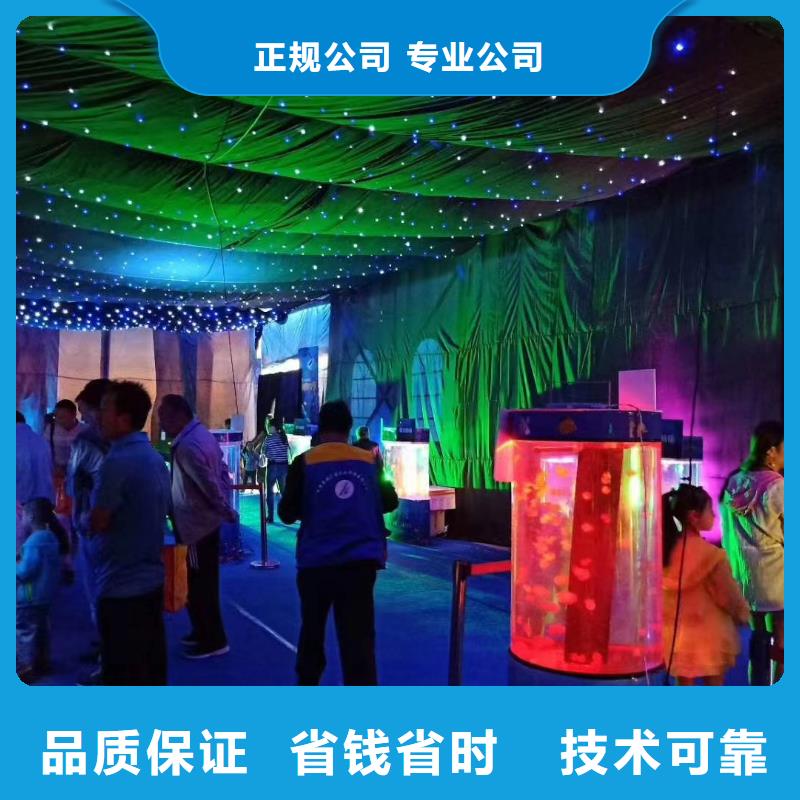 海洋主题动物表演小马戏表演出租高品质