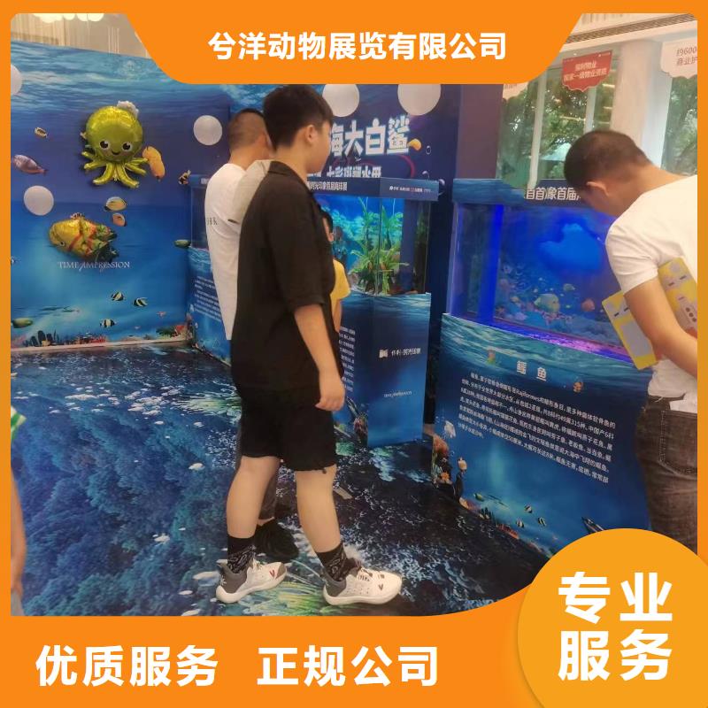 海洋主题动物表演-动物杂技表演租赁公司