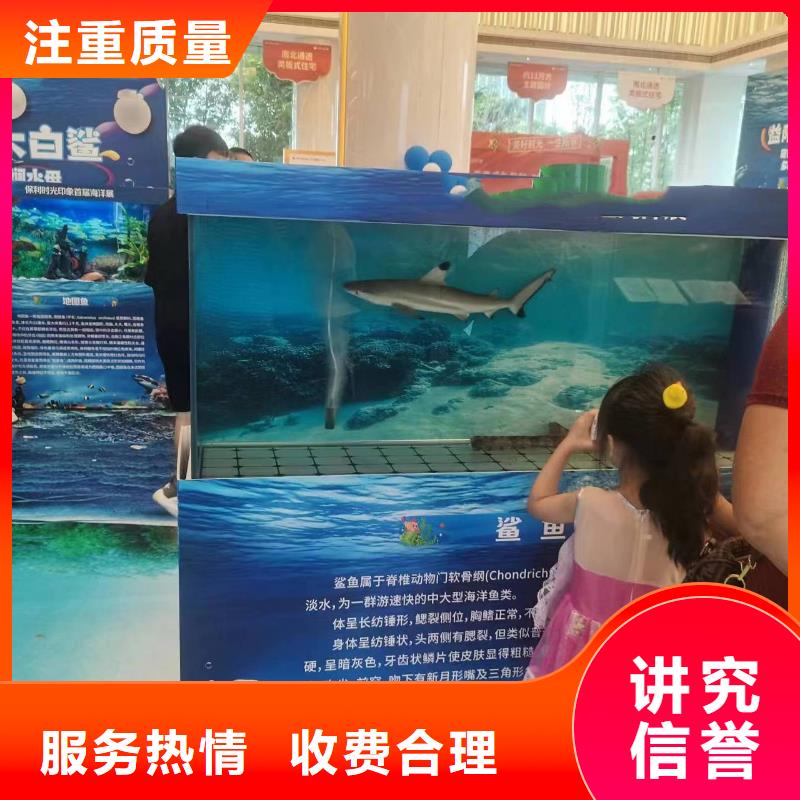 【海洋主题动物表演】海洋展租赁专业可靠