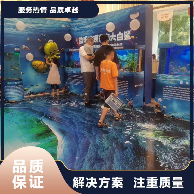 海洋主题动物表演-动物杂技表演租赁公司