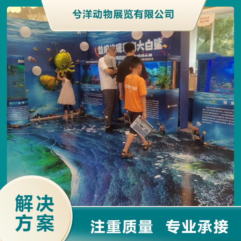 海洋主题动物表演死轮表演