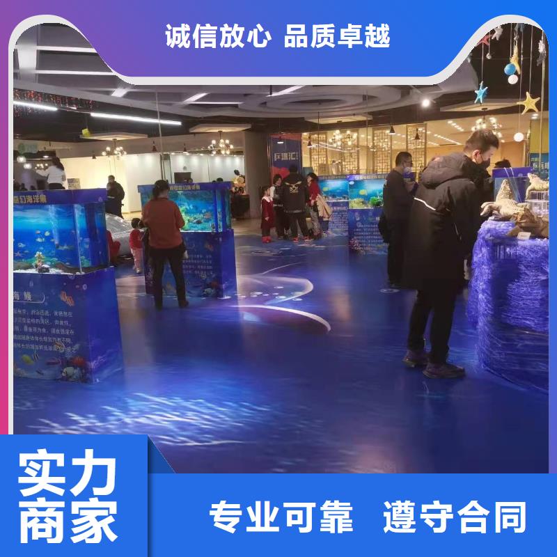 海洋主题动物表演 企鹅租赁放心之选