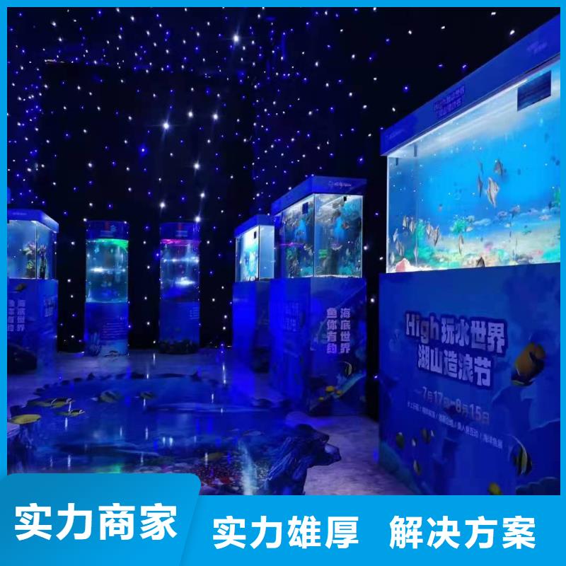 海洋主题动物表演动物表演正规团队