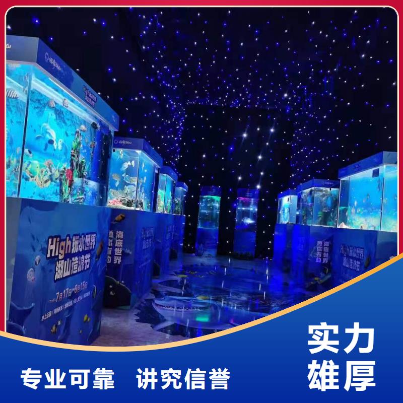 海洋主题动物表演【海狮杂技表演】免费咨询