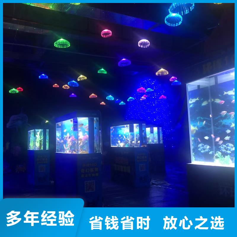 海洋主题动物表演_海狮表演出租信誉良好