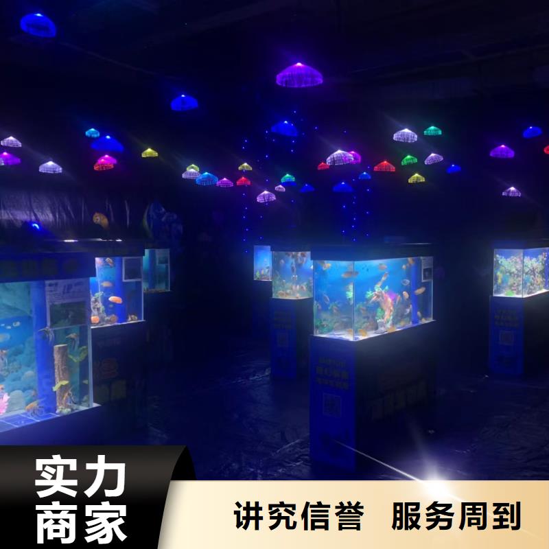 海洋主题动物表演马戏团表演从业经验丰富