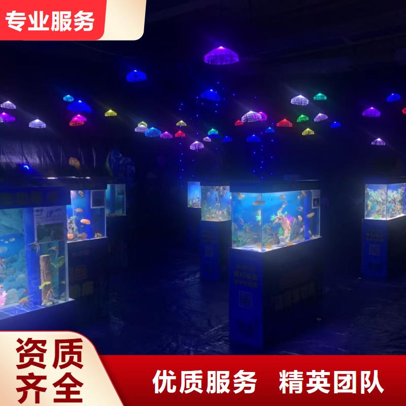 海洋主题动物表演_【企鹅表演】拒绝虚高价