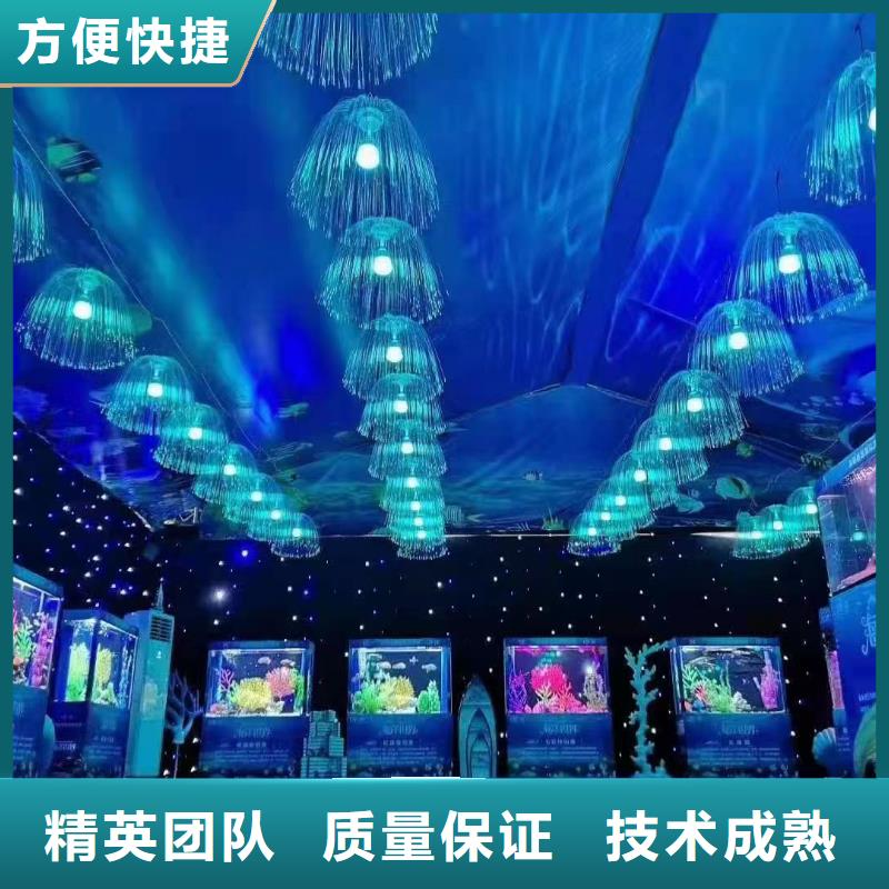 海洋主题动物表演出租表演海狮一对一服务