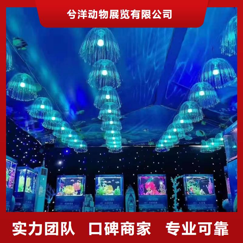 马戏团表演-视频-马戏团表演_四川省雅安市市场覆盖汉源|雨城|攀枝花|广安|遂宁|成都|甘孜|泸州|资阳等
