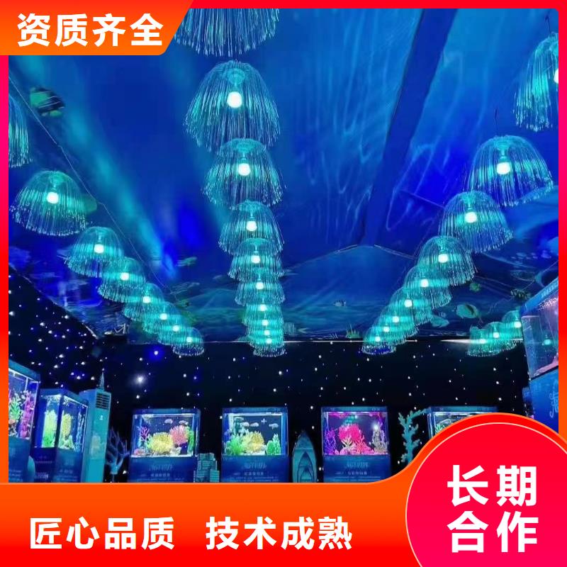 海洋主题动物表演海狮表演出租解决方案