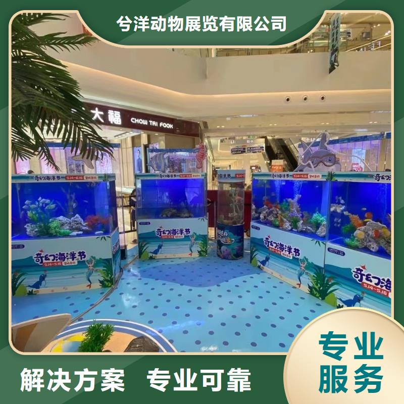 海洋主题动物表演马戏团表演出租值得信赖