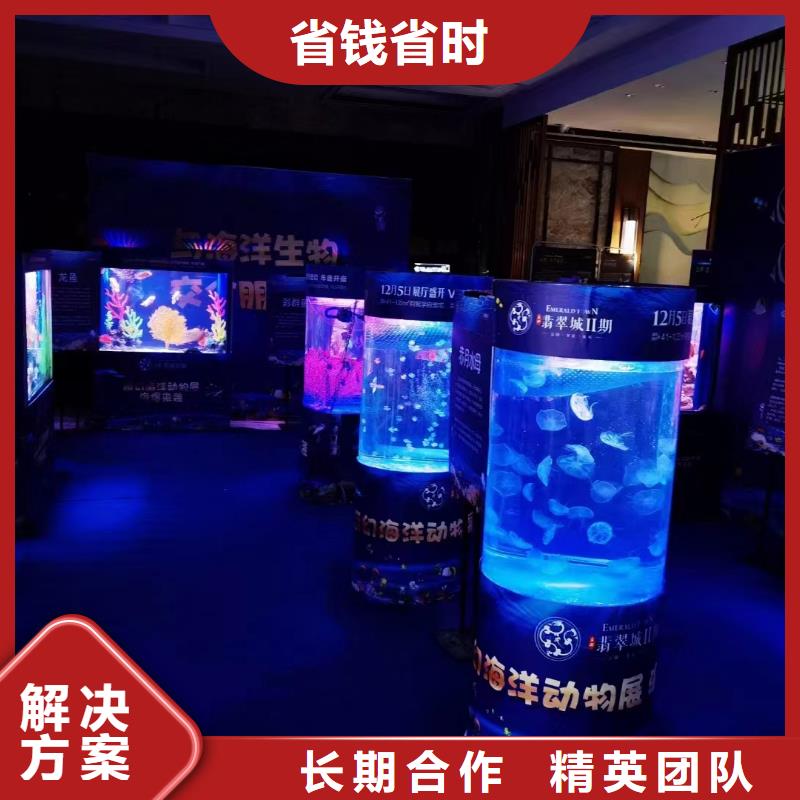 海洋主题动物表演【海狮表演租赁】欢迎合作
