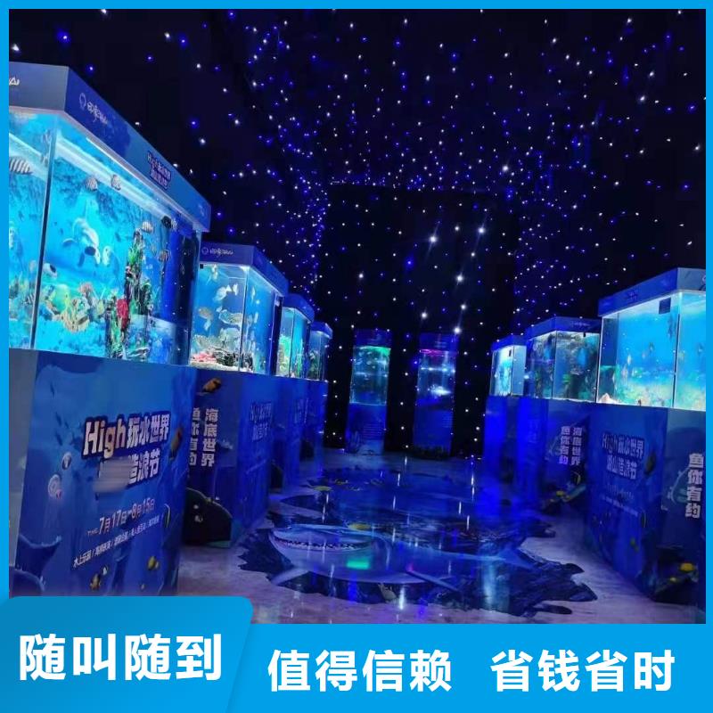 海洋主题动物表演_海狮表演出租资质齐全