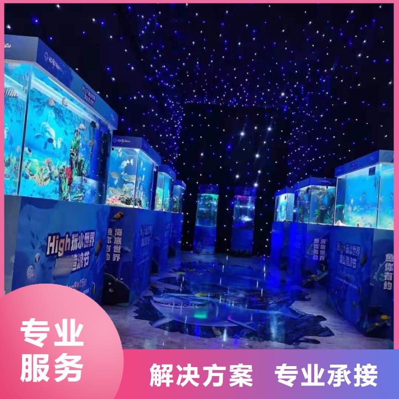 海洋主题动物表演动物表演出租多年行业经验
