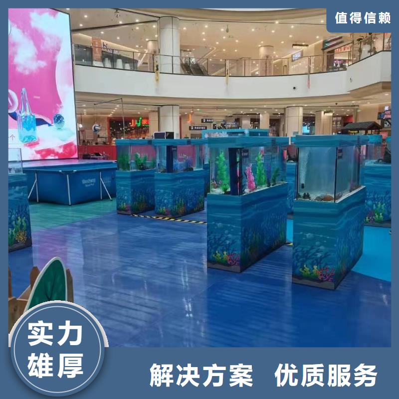 海洋主题动物表演-杂技表演正规公司