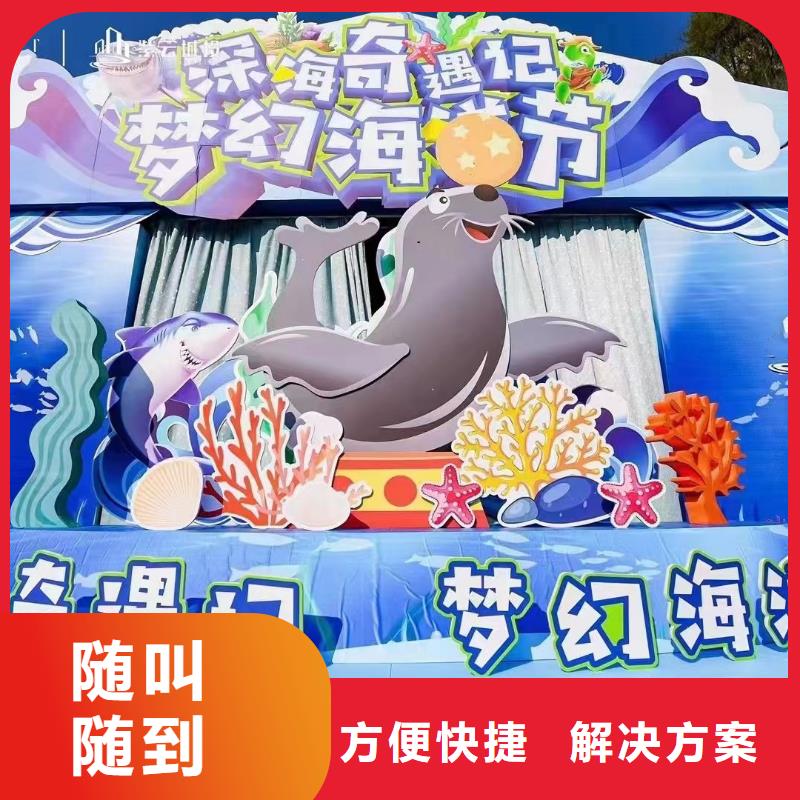 海洋主题动物表演草泥马羊驼租赁服务至上