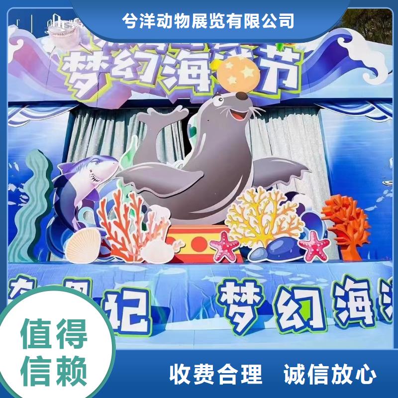 海洋主题动物表演景区杂技表演注重质量