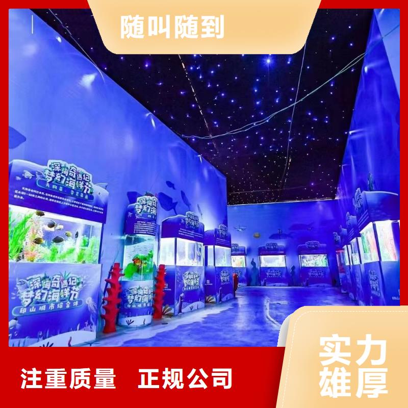 海洋主题动物表演【企鹅表演】诚信