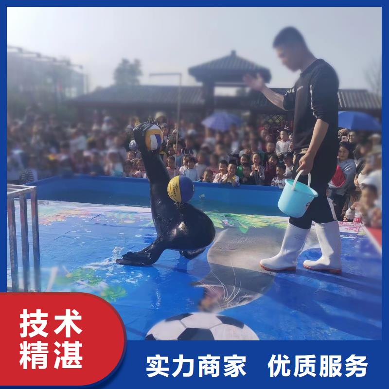 海洋主题动物表演房地产开盘庆典团队