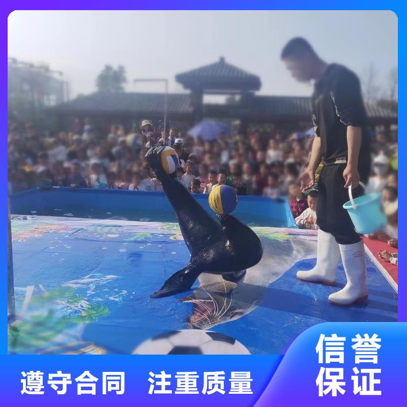 海洋主题动物表演马戏团表演出租租赁品质卓越