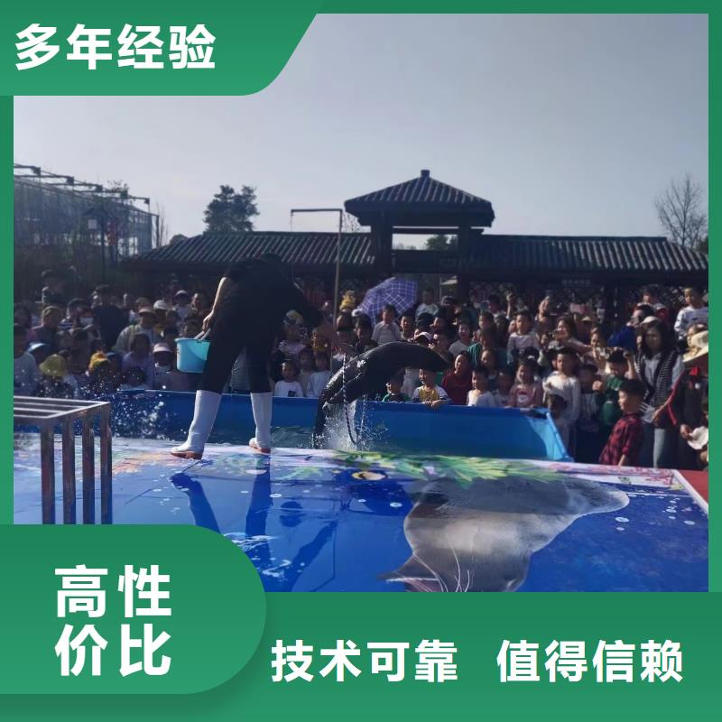 海洋主题动物表演海洋展租赁一站式服务