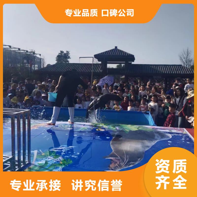 海洋主题动物表演小马戏出租专业品质