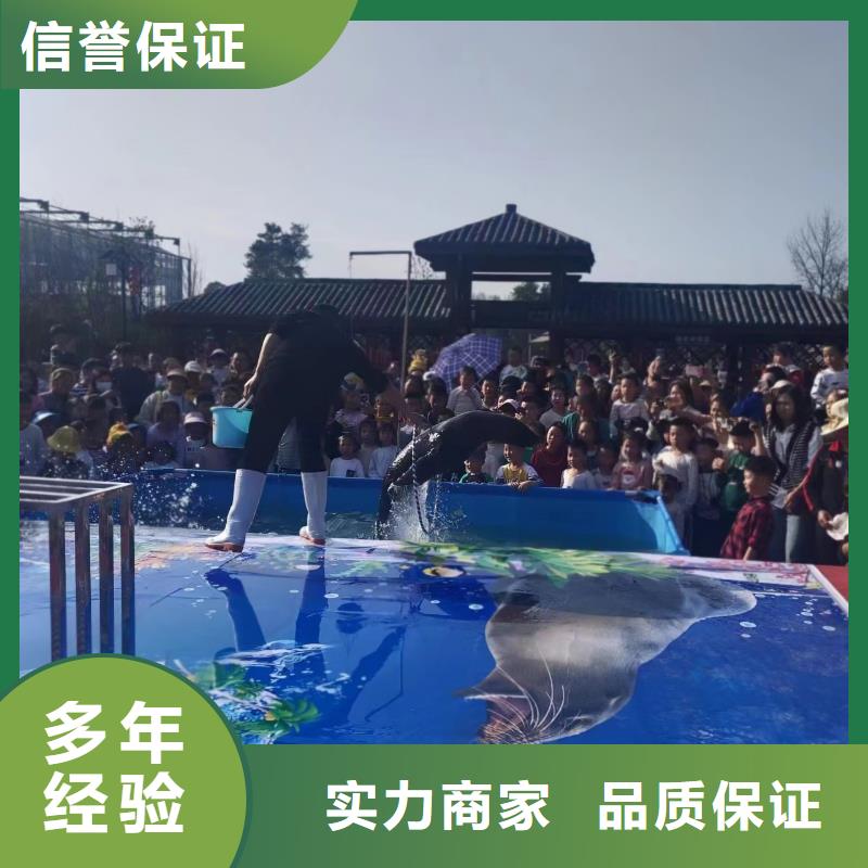 海洋主题动物表演【企鹅表演出租】服务周到