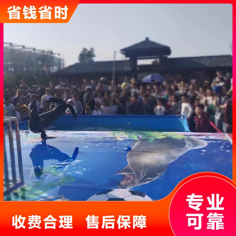 海洋主题动物表演死轮表演