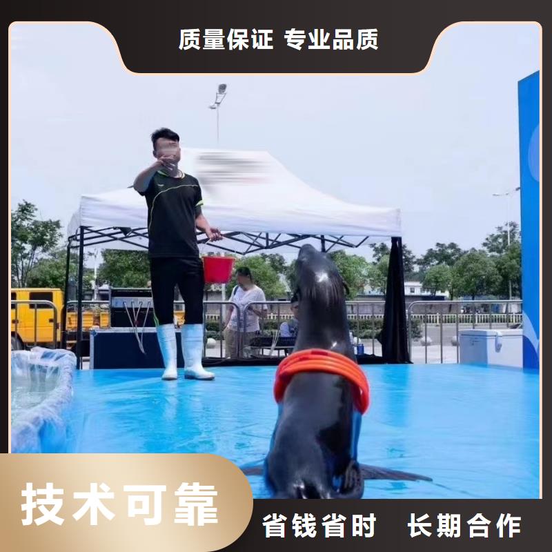 海洋主题动物表演马戏团表演出租租赁资质齐全
