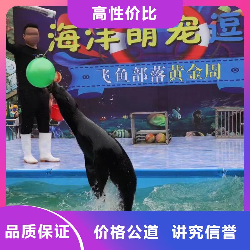 海洋主题动物表演马戏团表演出租租赁资质齐全