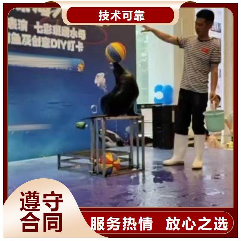 海洋主题动物表演海洋展租赁一站式服务