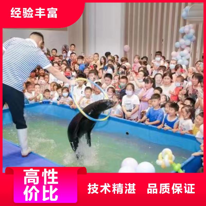 海洋主题动物表演【海狮表演租赁】欢迎合作