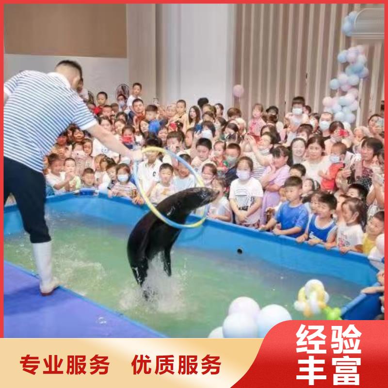 海洋主题动物表演房地产开盘庆典团队