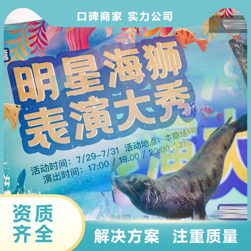 海洋主题动物表演_美人鱼表演出租专业服务