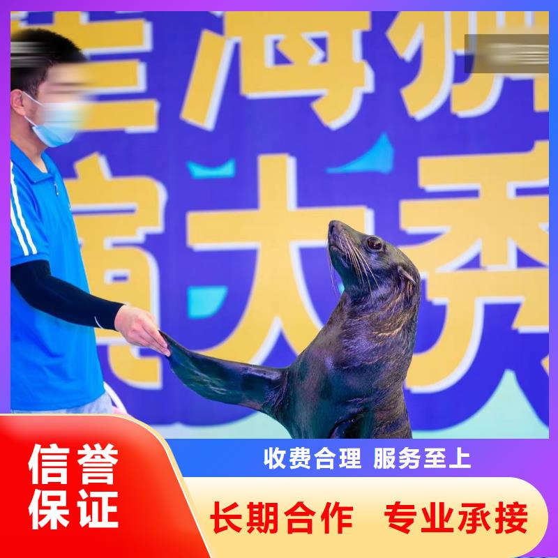 马戏团表演-视频-马戏团表演_四川省雅安市市场覆盖汉源|雨城|攀枝花|广安|遂宁|成都|甘孜|泸州|资阳等