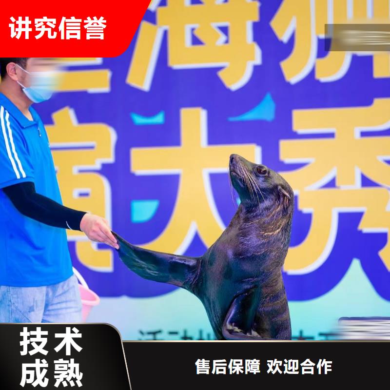 海洋主题动物表演_【企鹅表演】拒绝虚高价