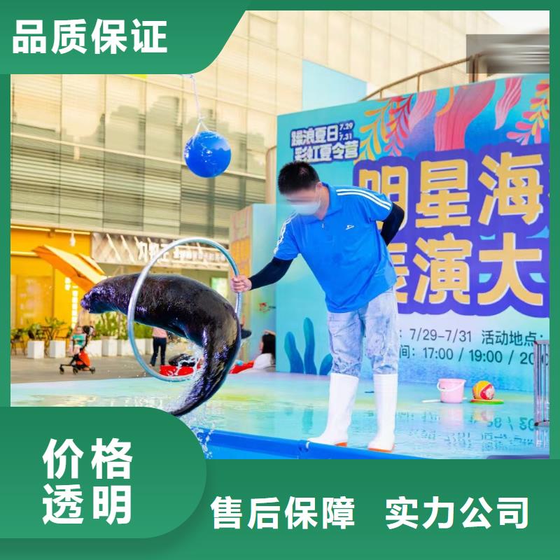 马戏团表演-视频-马戏团表演-广东省梅州市五华|丰顺|珠海|汕头|河源|潮州|肇庆|茂名|韶关(同城)经销商