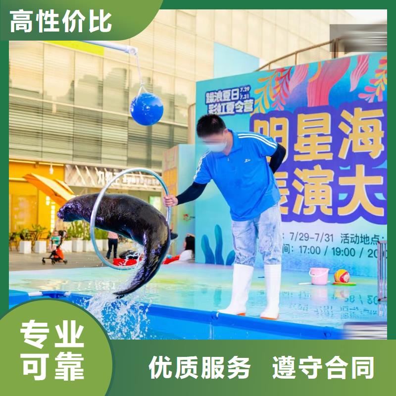 【海洋主题动物表演马戏团表演出租租赁欢迎询价】